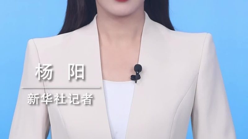 电商知识图谱：揭秘定制开发的报价奥秘